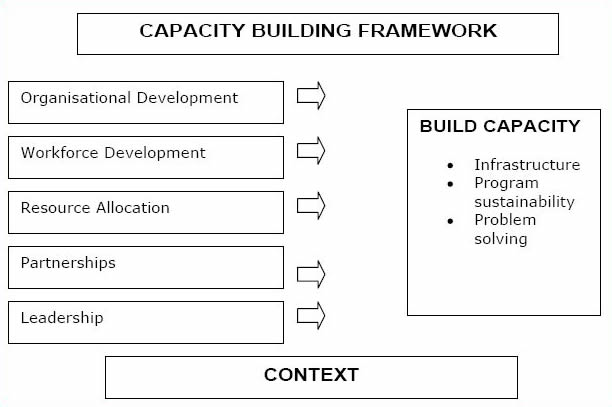 New South Wales Health Department Capacity Building Framework New South Wales Health Department Capacity Building Framework